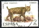 Stamps Spain -  LINCE.  LYNX  FARDINA.