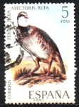 Stamps Spain -  PERDIZ  ROJA.  ALECTORIS  RUFA.