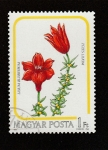 Stamps Hungary -  Lillium bulbiferum