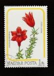 Sellos de Europa - Hungra -  Lillium bulbiferum