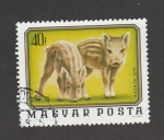 Stamps Hungary -  Sus scrofa