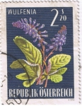 Stamps Austria -  Wulfenia