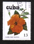 Stamps Cuba -  Ibiscus