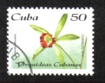 Stamps Cuba -  Orquídeas