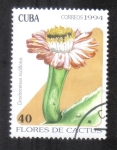 Stamps Cuba -  Flores de Cactus