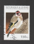 Sellos de Africa - Guinea -  Carduelis carduelis