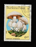 Stamps Burkina Faso -  Agaricus campestris
