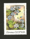 Stamps Russia -  CAMBIADO DM