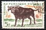 Stamps Mali -  BÚFALO  AFRICANO