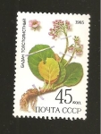 Stamps Russia -  CAMBIADO DM