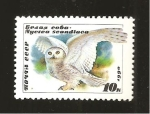 Stamps Russia -  INTERCAMBIO