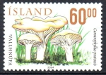 Sellos de Europa - Islandia -  HONGOS.  CAMAROPHYLLUS  PRATENSIS.
