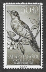 Sellos de Europa - Espa�a -  155 - Alondra Ibis (Sahara Español)