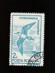 Stamps Romania -  Stercorarius pomomarinus