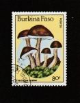 Stamps Burkina Faso -  Trachypus scaber
