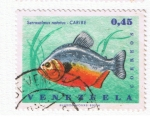 Stamps : America : Venezuela :  Serrasalmus notatus  CARIBE