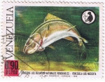 Stamps Venezuela -  Conserve los recursos naturales 2