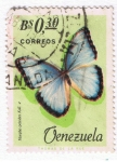 Stamps Venezuela -  Morpho peleides Koll