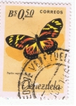 Stamps Venezuela -  Papilo Zagreus