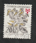 Stamps Czechoslovakia -  2112 - Pelícanos