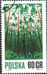 Stamps Poland -  MANEJO  ADECUADO  DEL  BOSQUE