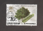 Sellos de Asia - Corea del norte -  Megasequoia glyptostroboides