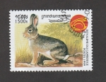 Stamps Cambodia -  Liebre