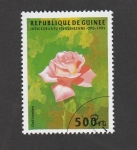 Stamps Guinea -  Rosa roja