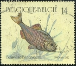 Sellos de America - Blgica -  Pez