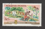 Stamps Hungary -  Albert Schweizer