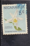Sellos de America - Nicaragua -  FLORES-sobralia pleiantha