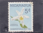Stamps : America : Nicaragua :  FLORES-sobralia pleiantha