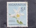 Stamps Nicaragua -  FLORES-sobralia pleiantha