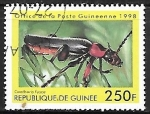 Stamps : Africa : Guinea :  Insectos - Cantharis fusca