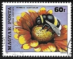 Stamps : Europe : Hungary :  Insecos - Blanket Flower 