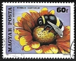 Stamps Hungary -  Insecos - Blanket Flower 