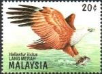 Stamps : Asia : Malaysia :  AVES  DE  PRESA.  ÁGUILA  ROJA.