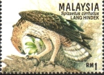 Stamps Malaysia -  AVES  DE  PRESA.  ÁGUILA-HALCÓN  CAMBIABLE.