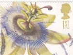 Stamps United Kingdom -  FLOR