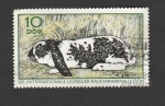Stamps Germany -  Conejo