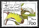Stamps Afghanistan -  Mariposas - Cerura vinula