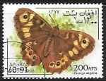 Stamps : Asia : Afghanistan :  Mariposas - Pararge aegeria