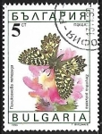 Sellos de Europa - Bulgaria -  Mariposas -Zerynthia polyxena