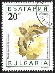 Sellos de Europa - Bulgaria -  Mariposas - Proserpinus proserpina