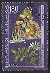 Sellos de Europa - Bulgaria -  Mariposas - Vanessa cardui