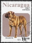 Stamps : America : Nicaragua :  perros