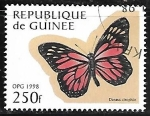 Sellos de Africa - Guinea -  Mariposas - Danaus cleophile