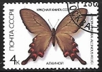 Stamps Russia -  Mariposas - Atrophaneura alcinous