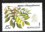 Sellos de Europa - Rusia -  Arboles y Arbustos Protegidos