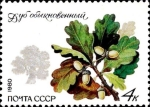 Stamps Russia -  Arboles y Arbustos Protegidos